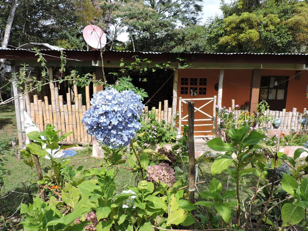 Hostal Familiar El Angel Panama B&B Pajonal Arriba Екстер'єр фото